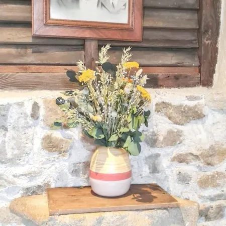 בית נופש Maison Charmante A Avec Jardin Et Patio Fleuri