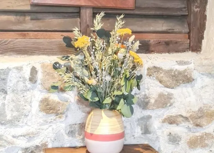 Holiday home Maison Charmante A Avec Jardin Et Patio Fleuri